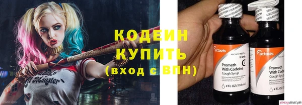 молекула духа Костерёво