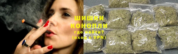 молекула духа Костерёво