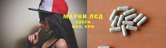 ПСИЛОЦИБИНОВЫЕ ГРИБЫ Коряжма