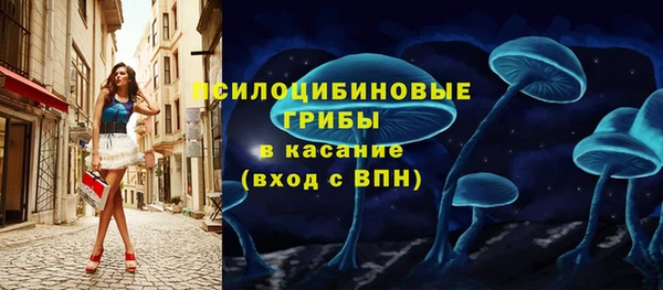 ПСИЛОЦИБИНОВЫЕ ГРИБЫ Коряжма