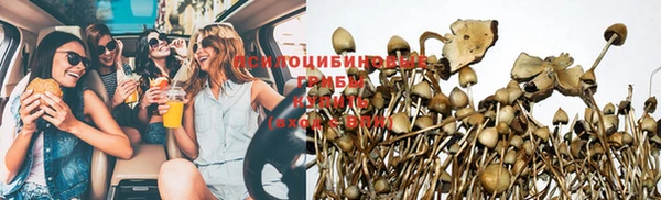 мяу мяу мука Корсаков