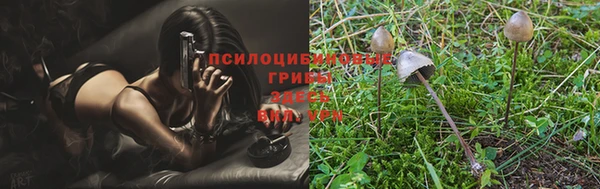 ПСИЛОЦИБИНОВЫЕ ГРИБЫ Коряжма